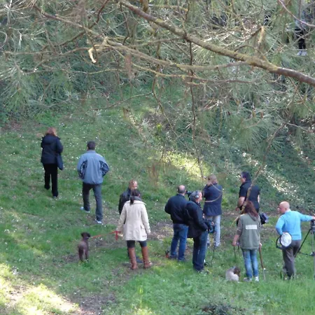 Sonnino 4* San Miniato